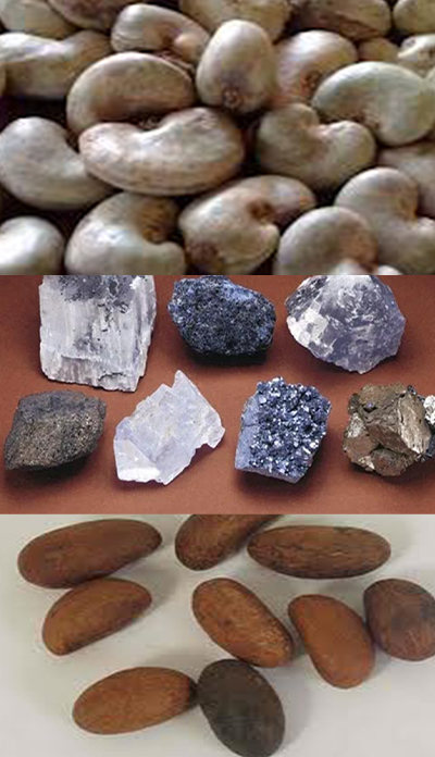 Export Commodities